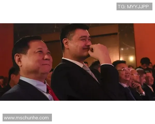 白岩松与姚明身高对话引发的思考与启示