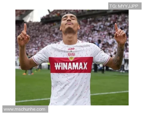 恩佐足球明星名字大全及其成就与风格解析让你全面了解足球界的璀璨星辰