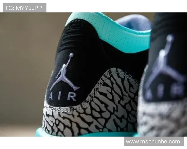 篮球明星鞋标志的魅力探秘与设计背后的故事分享